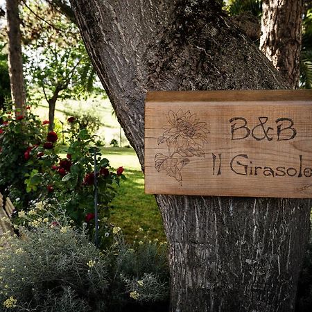 Il Girasole Bed and Breakfast Basciano Εξωτερικό φωτογραφία