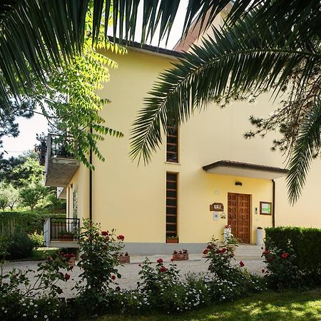 Il Girasole Bed and Breakfast Basciano Εξωτερικό φωτογραφία
